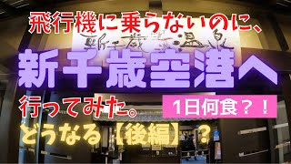 【北海道　観光・旅行】飛行機に乗らないのに、新千歳空港へ行ってみた。【後編】まだまだ食べて遊んで癒されます！新千歳空港の実力はいかに？！