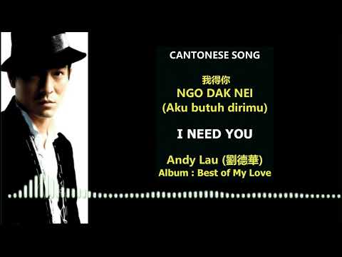 Andy Lau - Ngo Dak Nei 我得你 [Lyric]