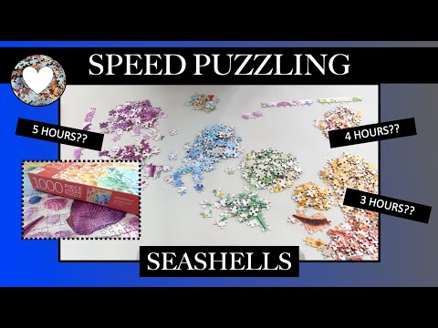 Speed Puzzling: Seashells from Hinkler