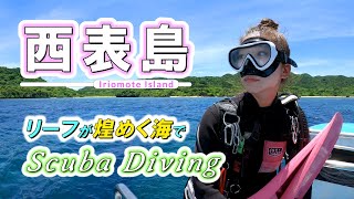 Scuba diving in Iriomote Island. Okinawa,JAPAN. Divepoint:NOBARU-EBITON