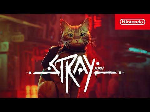 Stray – Jetzt erhältlich! (Nintendo Switch)