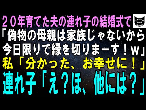 【スカッとする話】20年女手一つで育てた夫の連れ子が結婚。結婚式で連れ子「偽物の母親は家族じゃないから今日限りで縁を切りますｗ」私「分かった、お幸せに！」「え？ほ、他には？【修羅場】