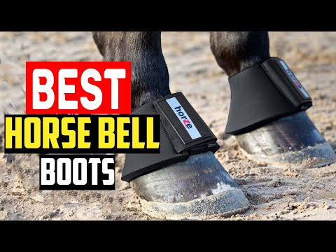 ✅Best Horse Bell Boots 2023