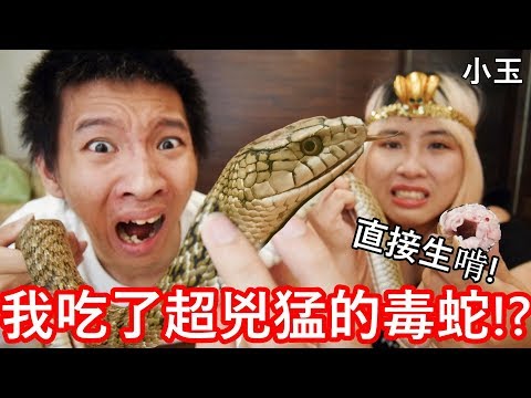 【小玉】直接生啃!我吃了超兇猛的毒蛇!?【全長170公分】