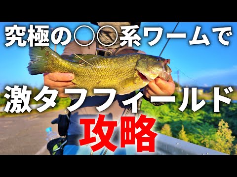 激タフフィールドでもボウズ回避出来る究極の○○系ワーム【fishing】【bassfishing】【釣り】【バス釣り】