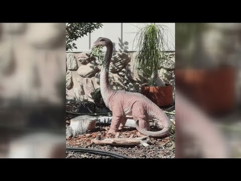 Beloved neighborhood dinosaur stolen from front yard in San Carlos