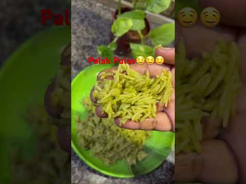 Yummy Food 🤤🥗🥗|| Palak Pulav 🤤🤤#youtubeshorts #viral #trending #ytshorts