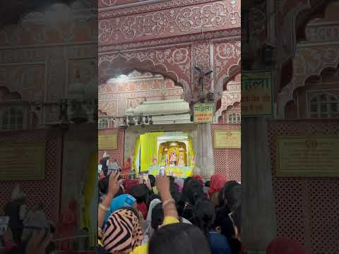 Govind Devji faag Darshan #travel #jaipur #rajasthan #devotional