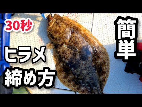 釣れたヒラメを2倍美味しく長持ちさせる方法！30秒でできる熟成前の必須処理　〆めと血抜き方法