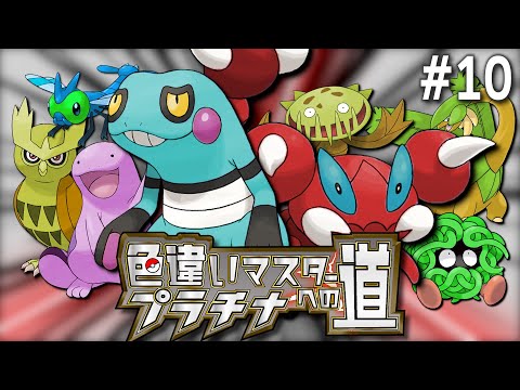 地獄のサファリ色違い厳選（1年3ヶ月）｜色違いマスターへの道【ポケモンプラチナ】#10｜ノモセシティ編