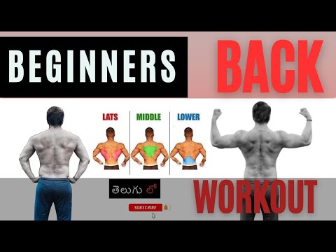 back workout telugu || back workout for beginners || back workout in gym for beginners ||