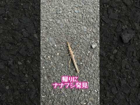 朝活で神社参拝してみたら…