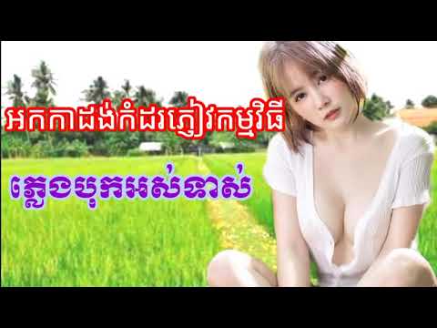 #តន្រ្ទី#អកកេះ#អកកាដង់#កំដរភ្ញៀវកម្មវិធីពិរោះណាស់