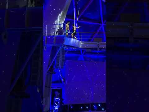 #shorts Royal Caribbean Utopia of the Seas, AquaTheater Show - Aqua 80 Too, "Flying" Act!