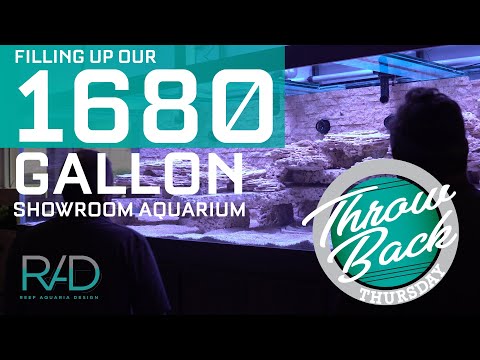 FILLING UP OUR 1680 GALLON SHOWROOM TANK, REEF AQUARIA DESIGN, FORT LAUDERDALE, LUXURY AQUARIUMS