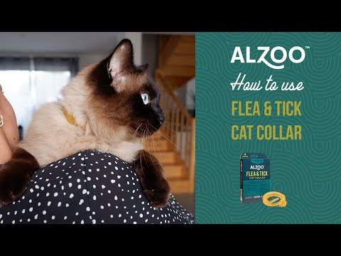 How to use ALZOO™ Flea & Tick Cat Collar?