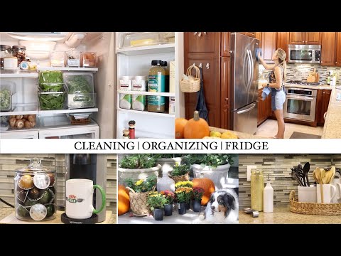 CLEANING MOTIVATION | FRIDGE CLEAN | ORGANIZING