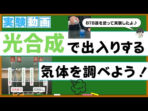 光合成で二酸化炭素が吸収される？オオカナダモでBTB液の色が変わるか観察しよう！【中学理科】