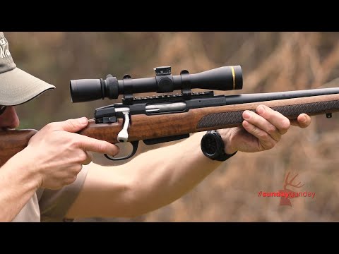 #SundayGunday: Stevens Model 334 Walnut