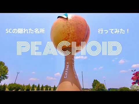 PEACHOID WATER TOWER - Gaffney SC - House of Card Filming Location【ロケ地】SCの隠れた名所ピーチョイドってなに⁉︎ (#155)