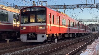 大川公園に居たスズメさん達とハクセキレイさん♪♬京急線と都営浅草線、シーサイドラインの電車！琵琶島神社から観た瀬戸神社！寄港する釣り船と平潟湾沿いの景色！【令和6年12月29日日曜日】