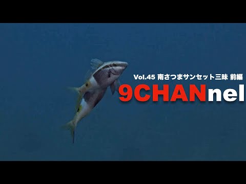 9CHANnel #045 南さつまの海で魚の生態行動を激写！ ダイビングショップSB 前編【スキューバダイビング番組】