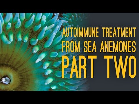 Autoimmune Treatment From Sea Anemones w/ Dr. Beeton [Part 2]