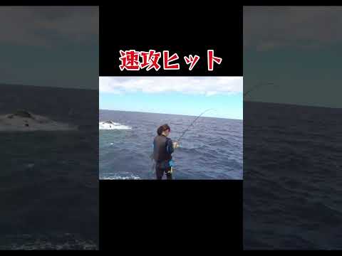 金魚を荒磯で釣りのエサにすると#釣り#沖縄#万座