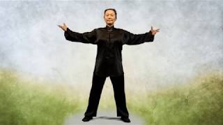 TaiChi for Pain Therapy 太極吐納八勢