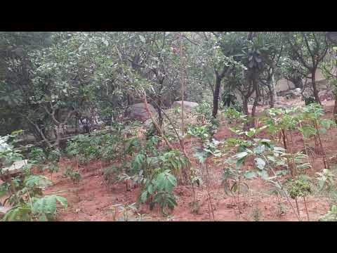 Nature view || one of the best nature || small view of nature