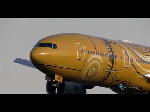 " C-3PO ANA JETが超接近!! 伊丹空港でド迫力ランディング!! " All Nippon Airways(ANA) Boeing777-200ER JA743A