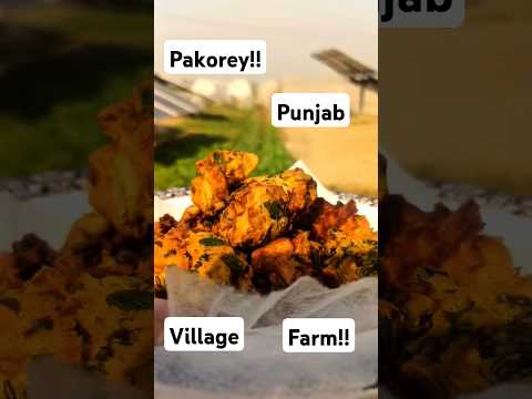 Live Farm Made Pakorey | DAAD'S AGRI FARM | #farming #potatofield #pakora #pakorarecipe