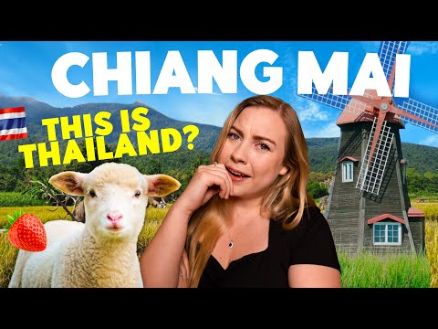 YOU WON'T BELIEVE this is Thailand! | Chiang Mai Travel 2024