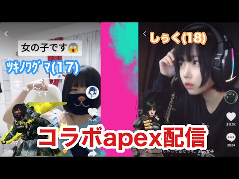 【apex女子】ツキノワグマとしぅくでapex配信アーカイブ