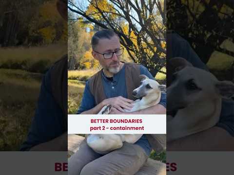 Boundaries with your dog are SO important!