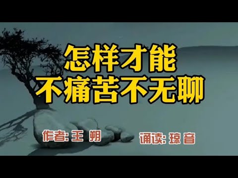 王朔经典散文：怎么样才能不痛苦不无聊【琼音读书】