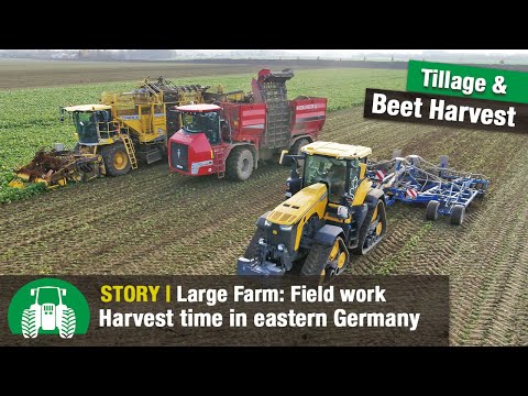 Saat-Gut Plaußig Farm – Part 4 (Beet harvest | John Deere 8RX | Köckerling Vector with Boxer)