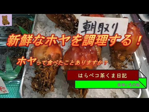 はらペコ茶くま日記　宮城のホヤは美味い！食わず嫌い克服ガイド！　こうやって作れば酒の肴に最高