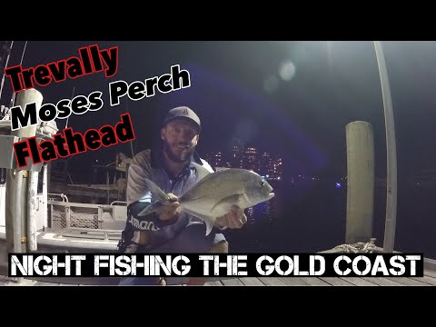 Night Fishing the Gold Coast - Can you find a feed in the city?