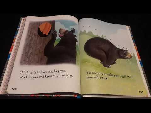 Honey Bees - Reading Street grade 1.2 - The Stepping Stone Kids