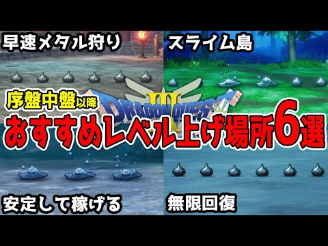 【ドラクエ3リメイク】実用的！序中盤以降レベル上げ6選「ドラゴンクエスト3リメイクHD-2D」【金策/職業/経験値/キャラ育成】#DragonQuest