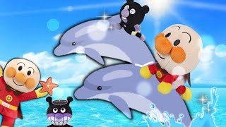 アンパンマン と一緒に水族館でイルカショーをみよう！！　アンパンマンアニメ