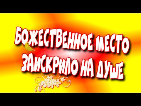 🕌Божественное🌺 Место от которого, Заискрило на 🥰Душе!/Магическое Место, Где Сияет Душа♻️[Olga Pak]