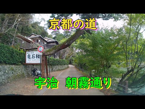 京都の道　宇治　朝霧通り