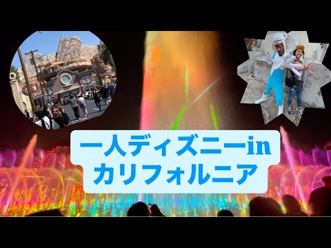 ディズニーカリフォルニアアドベンチャーに行って来た！