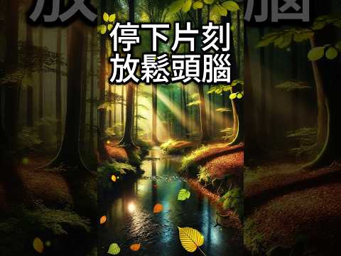 暂停片刻，放松大脑 #relax