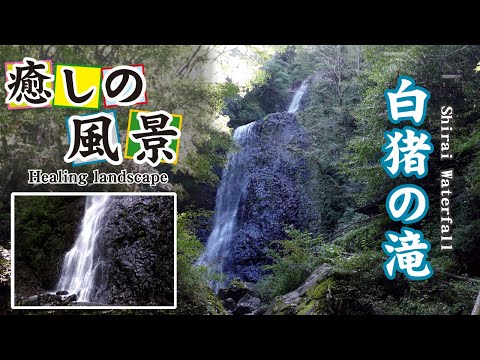 白猪の滝【 Shirai Waterfall 】