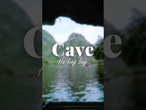 Ha Long Bay Cave: Exploring Vietnam’s Natural Wonder 🌊🇻🇳 #travel #halongbay #cave #nature