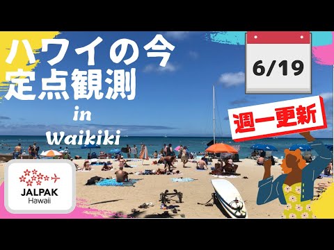 【ハワイの今】ワイキキ定点観測  2024年6月19日