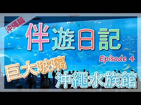 全亞洲最大水族館"沖繩美麗海水族館", 旅遊書熱推的沖繩蒸籠阿古豬(あぐーのせいろ蒸し 沖縄料理) | 伴遊日記 | Ep4